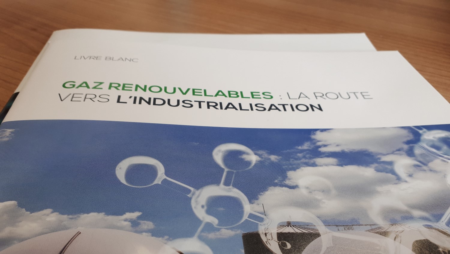 Lancement du livre blanc autour des gaz renouvelables lors de Biogaz Europe 2020